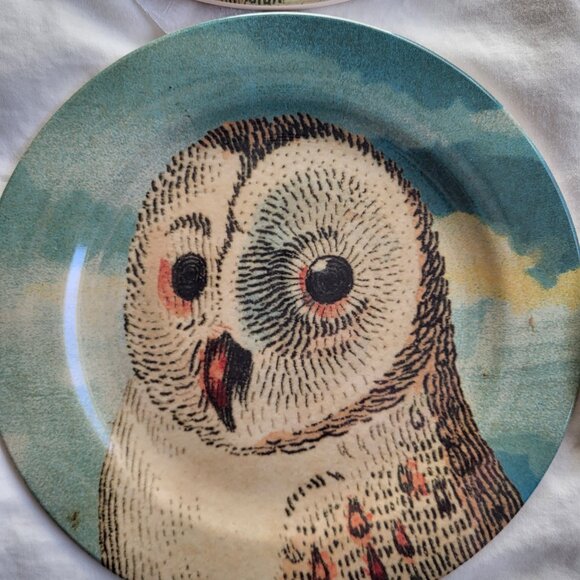 John Derian x Target Owl Appetizer Plates Set of 4 - Picture 4 of 5